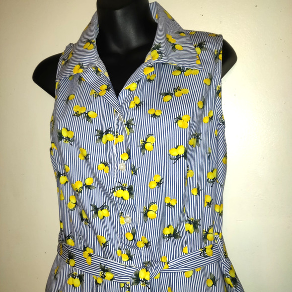 Chloe & Rene Blue Pinstripe Sleeveless Shirt Dress XL Lemon Print Cotton Belted - Picture 4 of 16